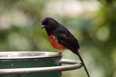 Similar image 13170226