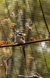 Similar image 13170240