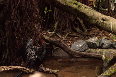 Similar image 13170243