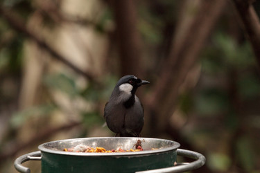 Similar image 13154209