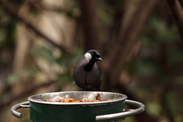 Similar image 13154210