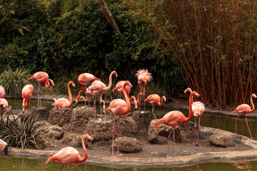 Similar image 13154211