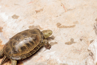 Similar image 13154228