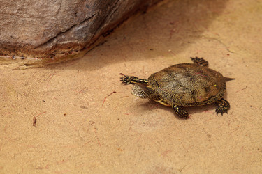 Similar image 13154260