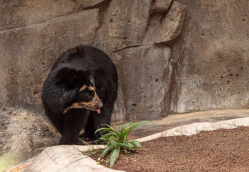 Similar image 13154276