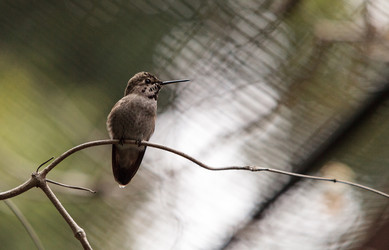 Similar image 13163151