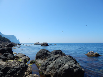 Similar image 13164008