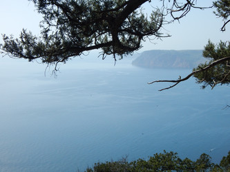 Similar image 13164028