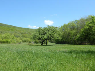 Similar image 13164048