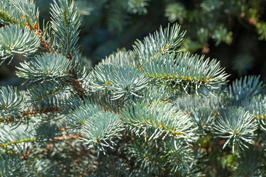 Similar image 13149257