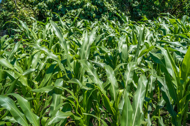 Similar image 13149358