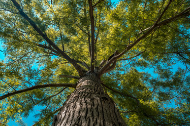 Similar image 13149397