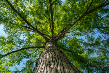 Similar image 13149417