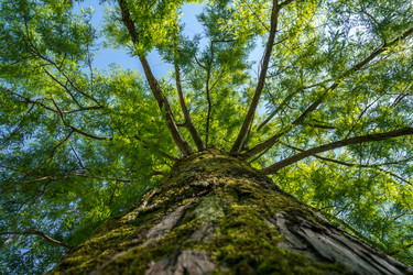 Similar image 13149437