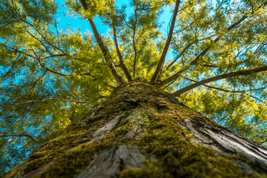 Similar image 13149457