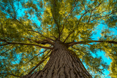 Similar image 13149476