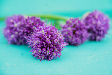 Similar image 13180200