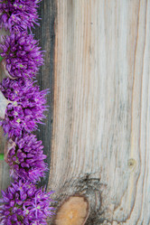 Similar image 13180202