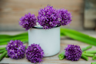 Similar image 13180221