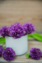 Similar image 13180222