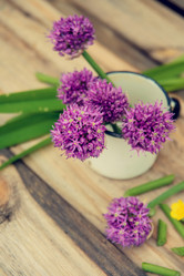 Similar image 13180223