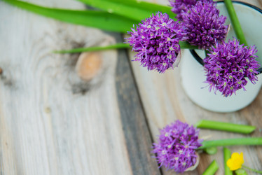 Similar image 13180244