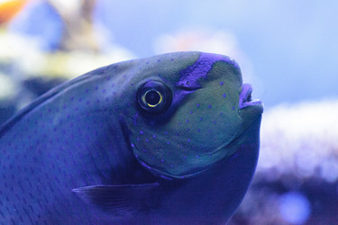 Similar image 13154230