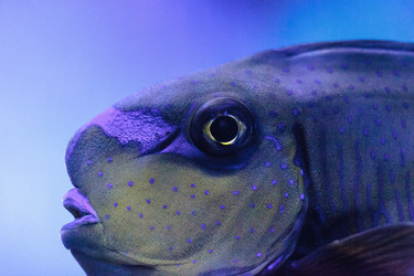 Similar image 13154242