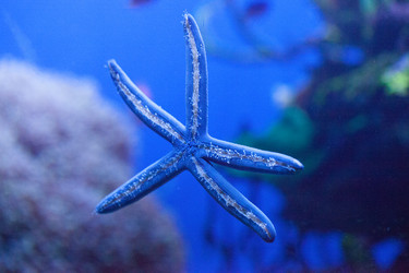 Similar image 13154244