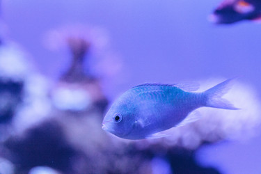 Similar image 13163124