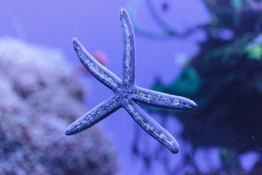 Similar image 13163125