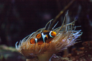 Similar image 13163154