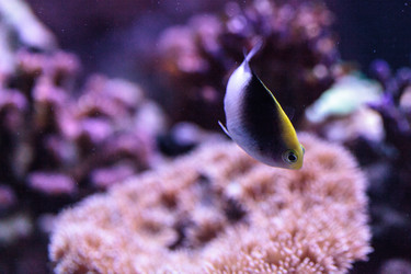 Similar image 13163155