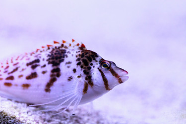 Similar image 13163156