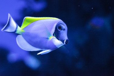 Similar image 13170311