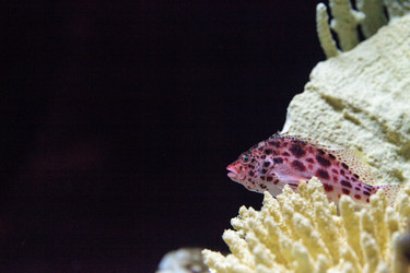 Similar image 13154164