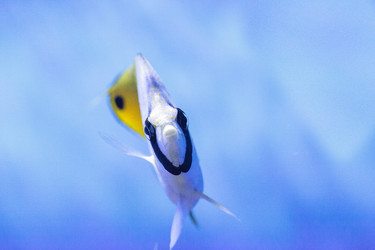 Similar image 13154191