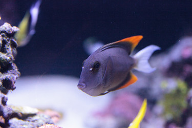 Similar image 13154192