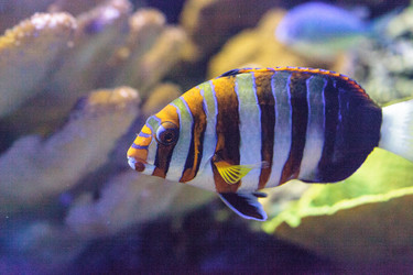 Similar image 13154212