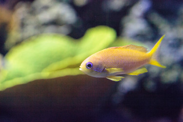 Similar image 13154213