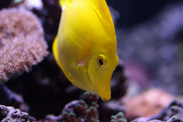 Similar image 13170245