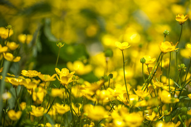 Similar image 13149497