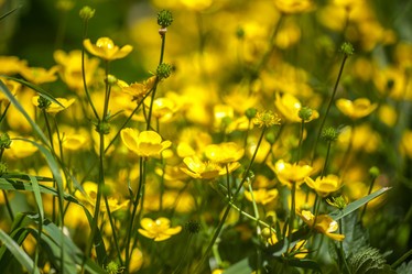 Similar image 13149516