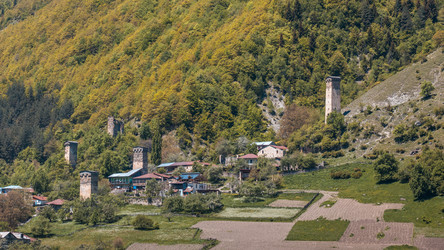 Similar image 13155475