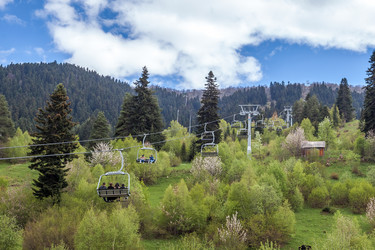 Similar image 13155785