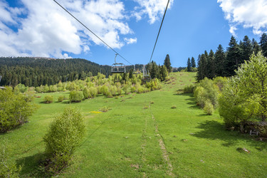 Similar image 13155786