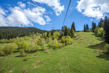 Similar image 13155787