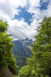 Similar image 13158689