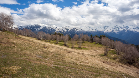 Similar image 13158696