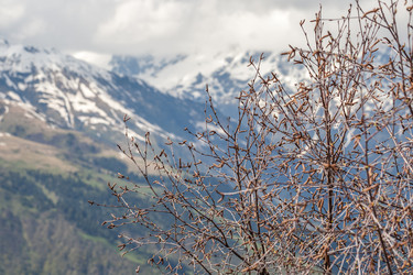 Similar image 13158708